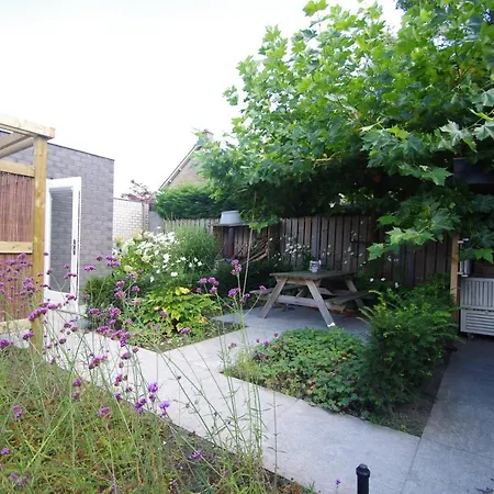 Halte 7 * Kaatsheuvel