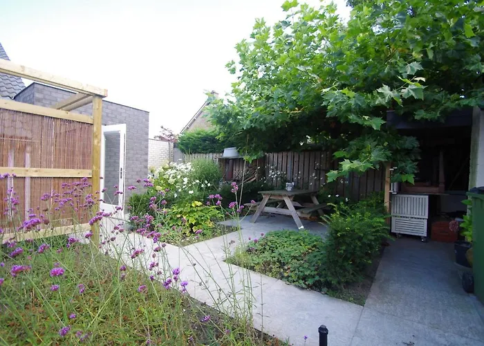 Halte 7 * كاتْسهوفيل